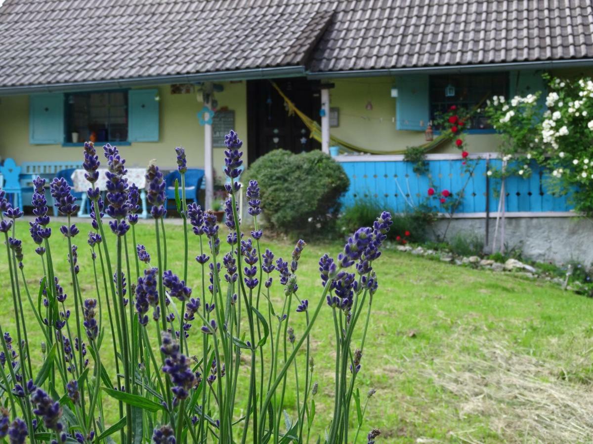 Blue Cottage Podvrh  Екстер'єр фото
